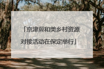 京津冀和美乡村资源对接活动在保定举行