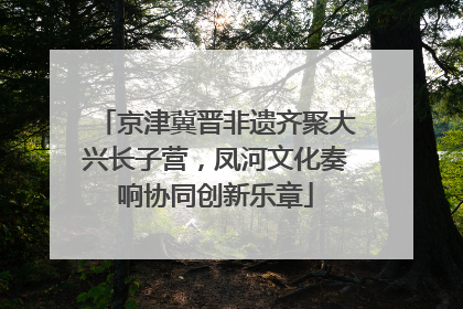 京津冀晋非遗齐聚大兴长子营，凤河文化奏响协同创新乐章