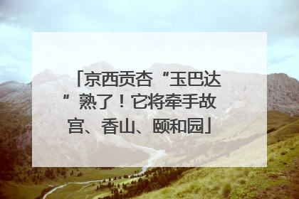 京西贡杏“玉巴达”熟了！它将牵手故宫、香山、颐和园