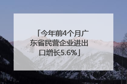 今年前4个月广东省民营企业进出口增长5.6%