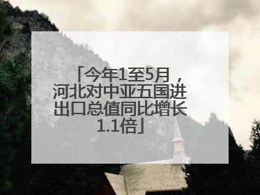 今年1至5月，河北对中亚五国进出口总值同比增长1.1倍