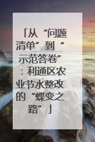 从“问题清单”到“示范答卷”：利通区农业节水整改的“蝶变之路”