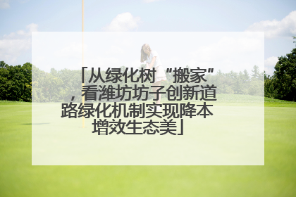 从绿化树“搬家”，看潍坊坊子创新道路绿化机制实现降本增效生态美