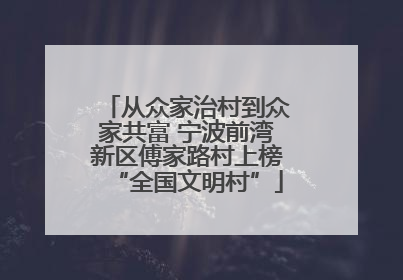 从众家治村到众家共富 宁波前湾新区傅家路村上榜“全国文明村”