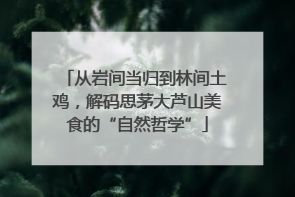 从岩间当归到林间土鸡，解码思茅大芦山美食的“自然哲学”