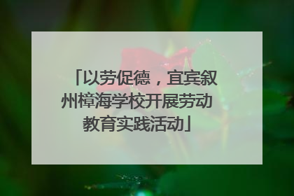 以劳促德，宜宾叙州樟海学校开展劳动教育实践活动