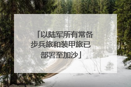 以陆军所有常备步兵旅和装甲旅已部署至加沙