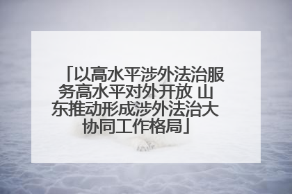 以高水平涉外法治服务高水平对外开放 山东推动形成涉外法治大协同工作格局