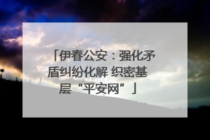 伊春公安：强化矛盾纠纷化解 织密基层“平安网”