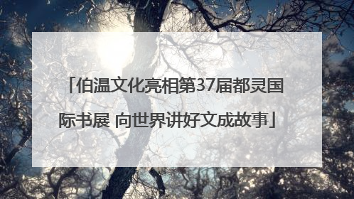 伯温文化亮相第37届都灵国际书展 向世界讲好文成故事