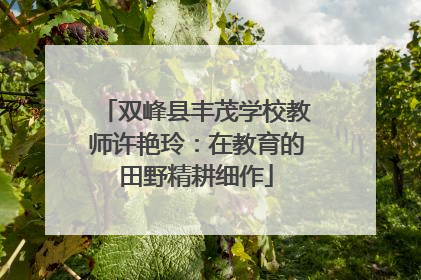 双峰县丰茂学校教师许艳玲：在教育的田野精耕细作