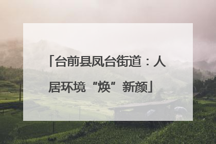 台前县凤台街道：人居环境“焕”新颜