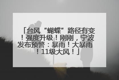台风“蝴蝶”路径有变！强度升级！刚刚，宁波发布预警：暴雨！大暴雨！11级大风！