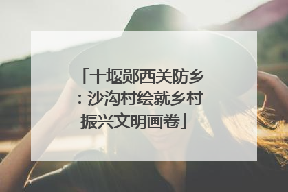 十堰郧西关防乡：沙沟村绘就乡村振兴文明画卷