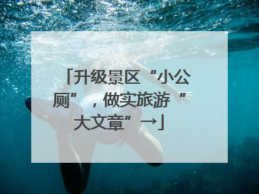 升级景区“小公厕”，做实旅游“大文章”→