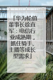 华为轮值董事长徐直军：电信行业成熟期，抓住骑手、主播等成长型需求