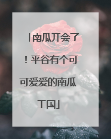 南瓜开会了！平谷有个可可爱爱的南瓜王国