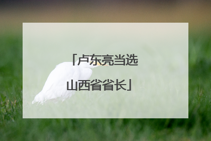 卢东亮当选山西省省长