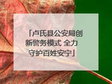 卢氏县公安局创新警务模式 全力守护百姓安宁