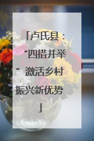 卢氏县：“四措并举”激活乡村振兴新优势