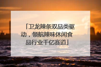 卫龙辣条双品类驱动，领航辣味休闲食品行业千亿赛道