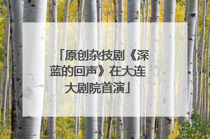 原创杂技剧《深蓝的回声》在大连大剧院首演