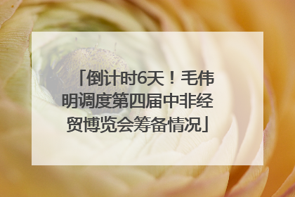 倒计时6天！毛伟明调度第四届中非经贸博览会筹备情况