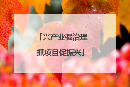 兴产业强治理 抓项目促振兴