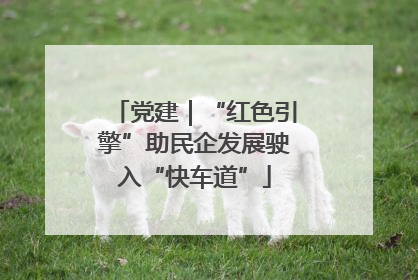 党建｜“红色引擎”助民企发展驶入“快车道”