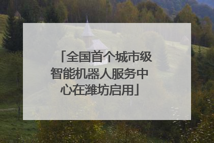 全国首个城市级智能机器人服务中心在潍坊启用
