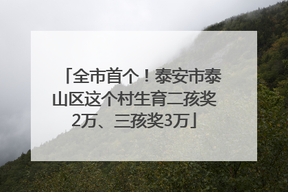 全市首个！泰安市泰山区这个村生育二孩奖2万、三孩奖3万