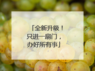 全新升级！只进一扇门，办好所有事