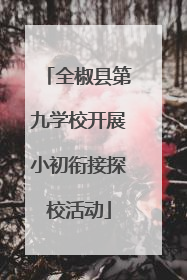 全椒县第九学校开展小初衔接探校活动