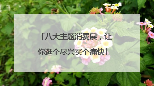八大主题消费展，让你逛个尽兴买个痛快