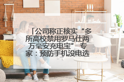 公司称正核实“多所高校禁用罗马仕两万毫安充电宝” 专家：预防手机没电选中等体积产品即可