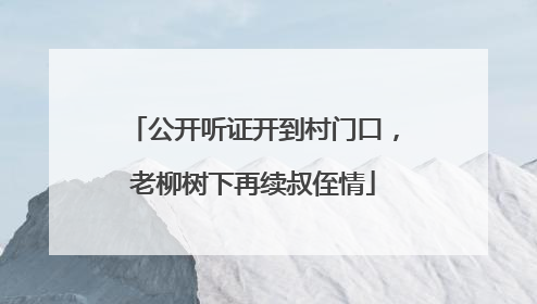 公开听证开到村门口，老柳树下再续叔侄情