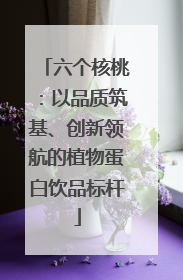 六个核桃：以品质筑基、创新领航的植物蛋白饮品标杆