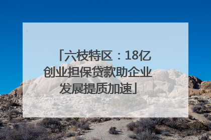 六枝特区：18亿创业担保贷款助企业发展提质加速