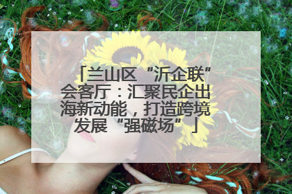 兰山区“沂企联”会客厅：汇聚民企出海新动能，打造跨境发展“强磁场”