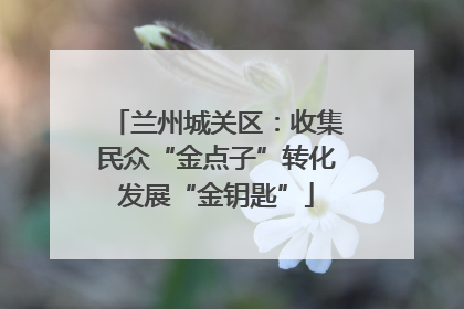 兰州城关区：收集民众“金点子”转化发展“金钥匙”