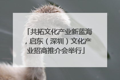 共拓文化产业新蓝海，启东（深圳）文化产业招商推介会举行