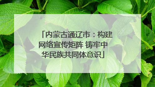 内蒙古通辽市：构建网络宣传矩阵 铸牢中华民族共同体意识