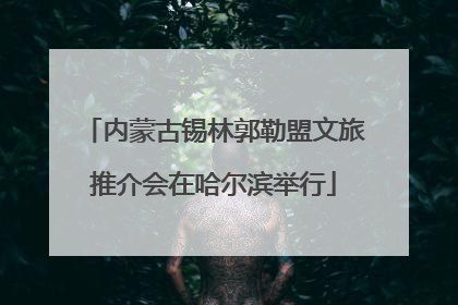 内蒙古锡林郭勒盟文旅推介会在哈尔滨举行