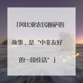 冈比亚农民穆萨的故事，是“中非友好的一段佳话”