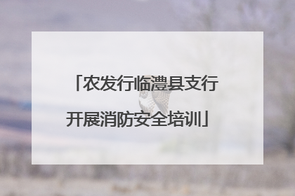 农发行临澧县支行开展消防安全培训