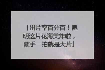 出片率百分百！昆明这片花海美炸啦，随手一拍就是大片