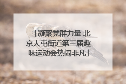 凝聚党群力量 北京大屯街道第三届趣味运动会热闹非凡