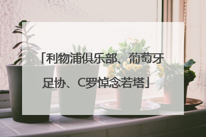 利物浦俱乐部、葡萄牙足协、C罗悼念若塔