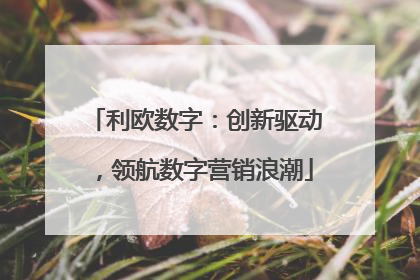 利欧数字：创新驱动，领航数字营销浪潮