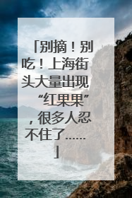别摘！别吃！上海街头大量出现“红果果”，很多人忍不住了……